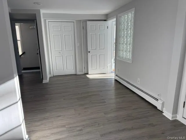 Livingroom featuring a baseboard radiator, reclaimed wood floors, and a closet Livingroom featuring a baseboard radiator, reclaimed wood floors, and a closet