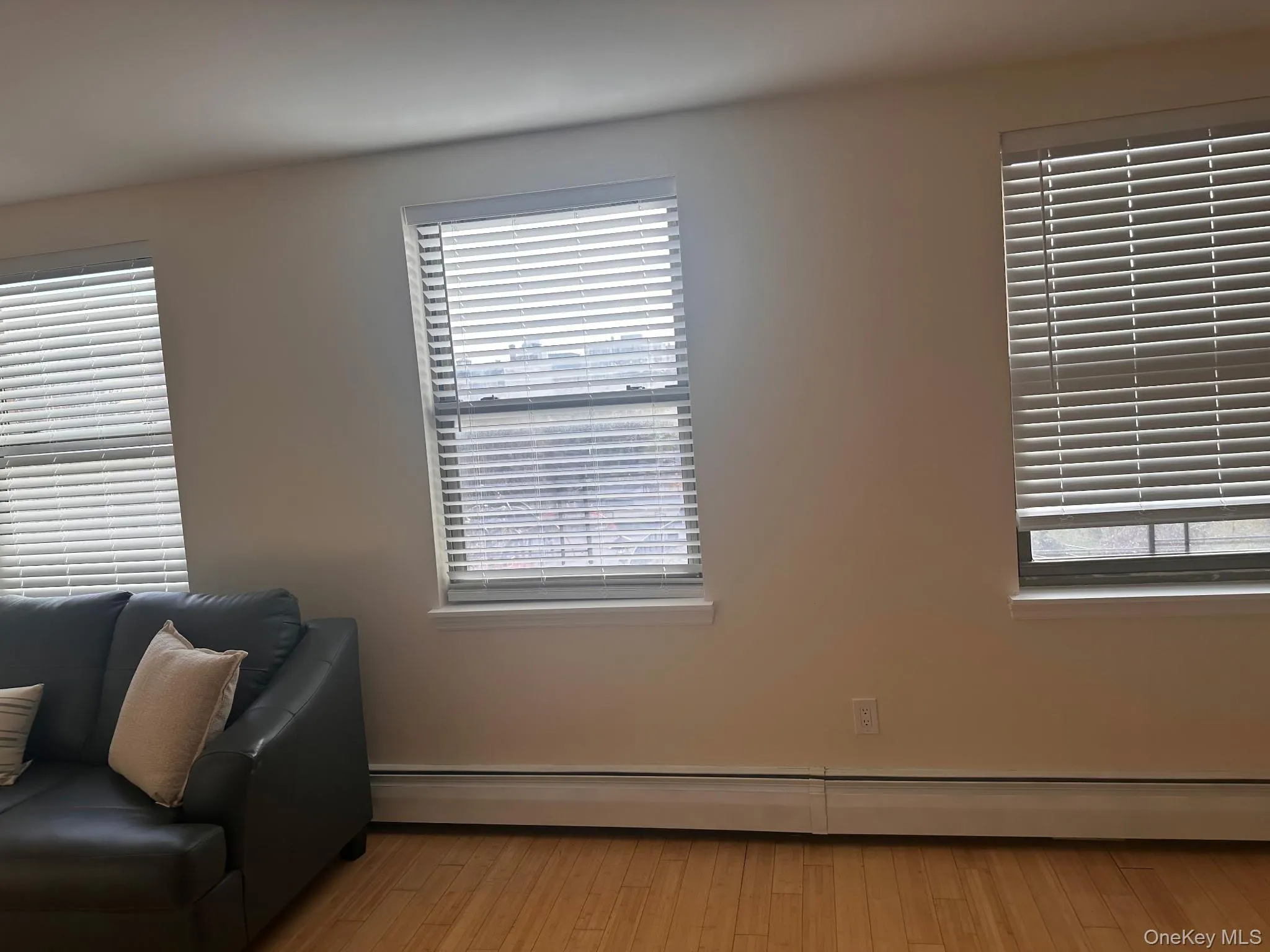Living area featuring a baseboard heating unit and light wood-style flooring Living area featuring a baseboard heating unit and light wood-style flooring