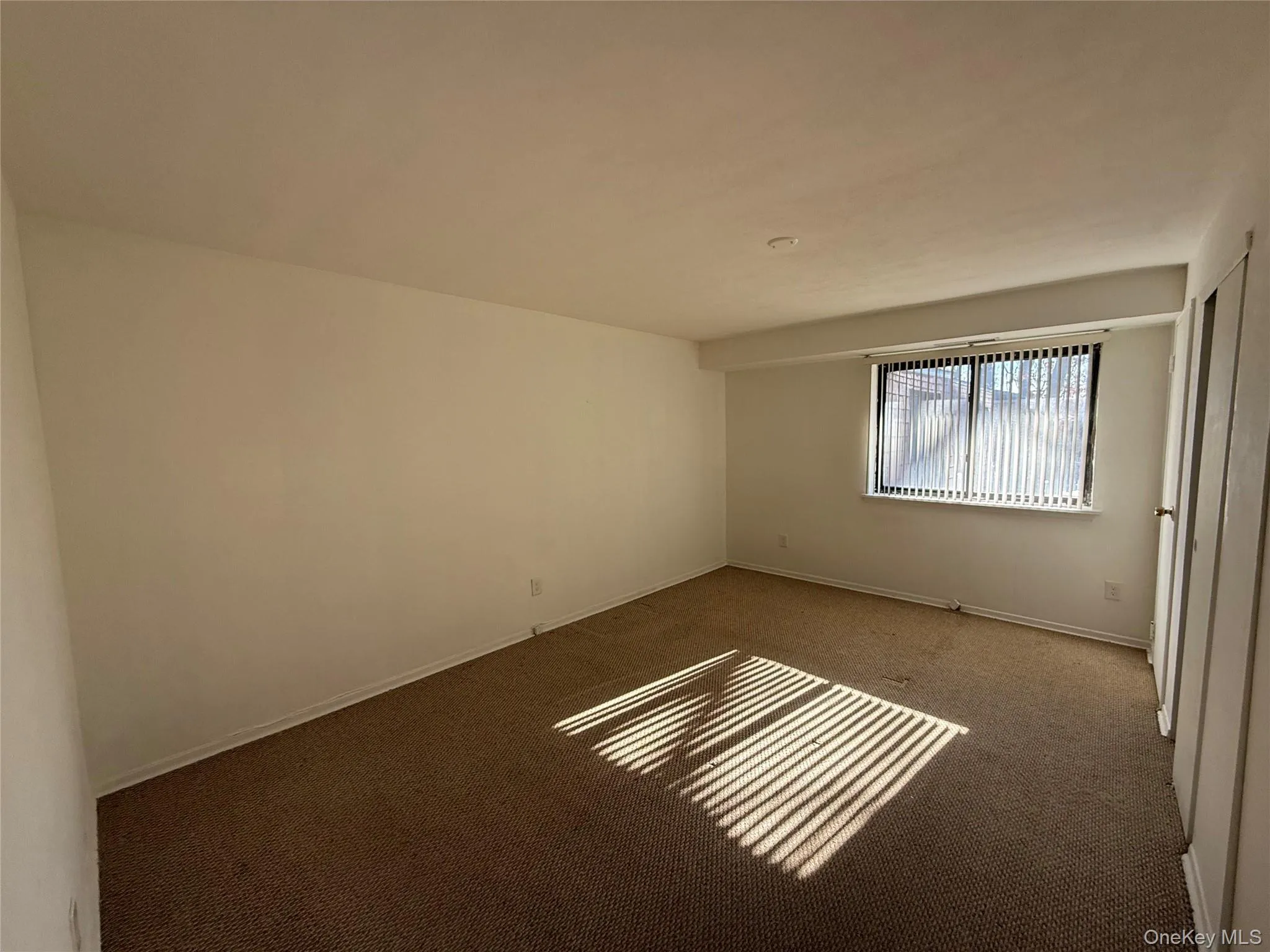 Unfurnished room featuring carpet and baseboards Unfurnished room featuring carpet and baseboards