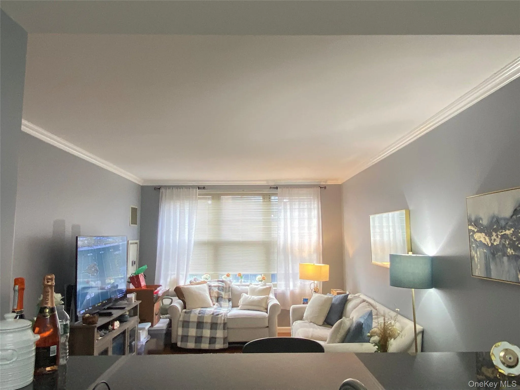 Living area featuring ornamental molding Living area featuring ornamental molding