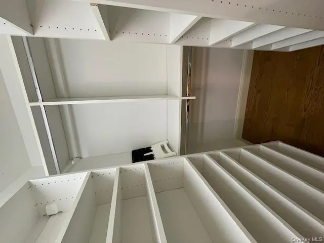 Walk in closet with dark wood-style flooring Walk in closet with dark wood-style flooring