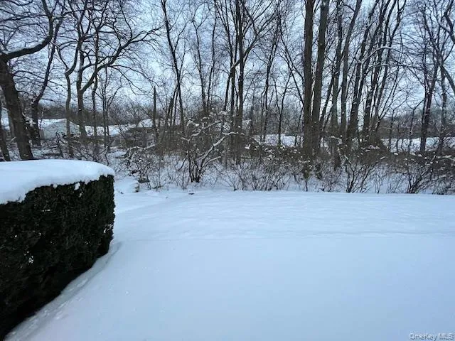 View of yard covered in snow View of yard covered in snow