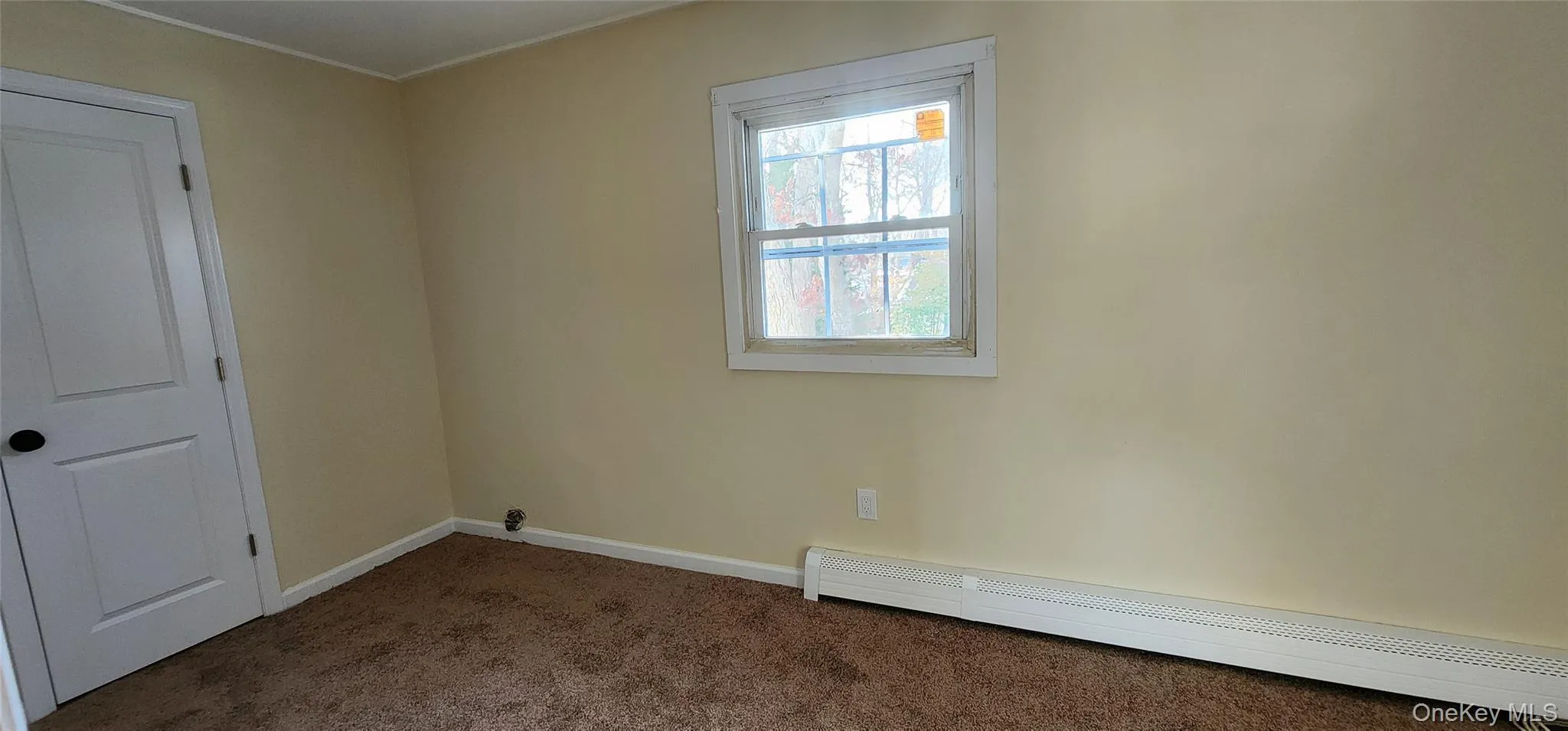 Spare room with a baseboard radiator, dark colored carpet, and crown molding Spare room with a baseboard radiator, dark colored carpet, and crown molding