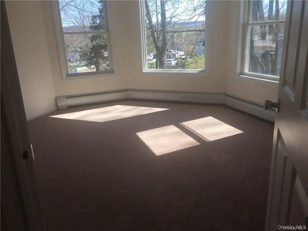Carpeted spare room featuring a baseboard heating unit Carpeted spare room featuring a baseboard heating unit