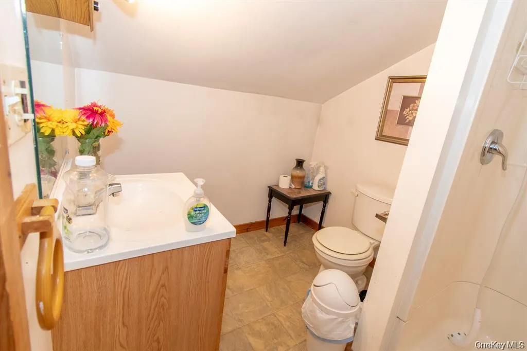 Bathroom featuring vanity, lofted ceiling, and a shower Bathroom featuring vanity, lofted ceiling, and a shower