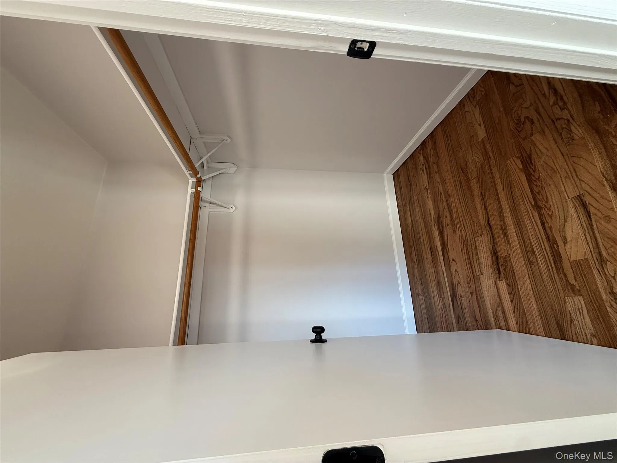 Spacious closet with dark wood-type flooring Spacious closet with dark wood-type flooring