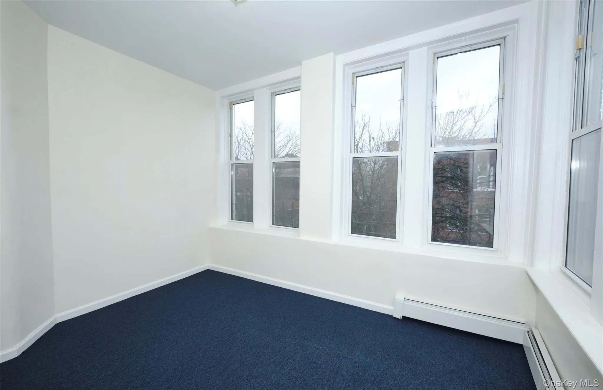 Carpeted spare room featuring baseboard heating Carpeted spare room featuring baseboard heating