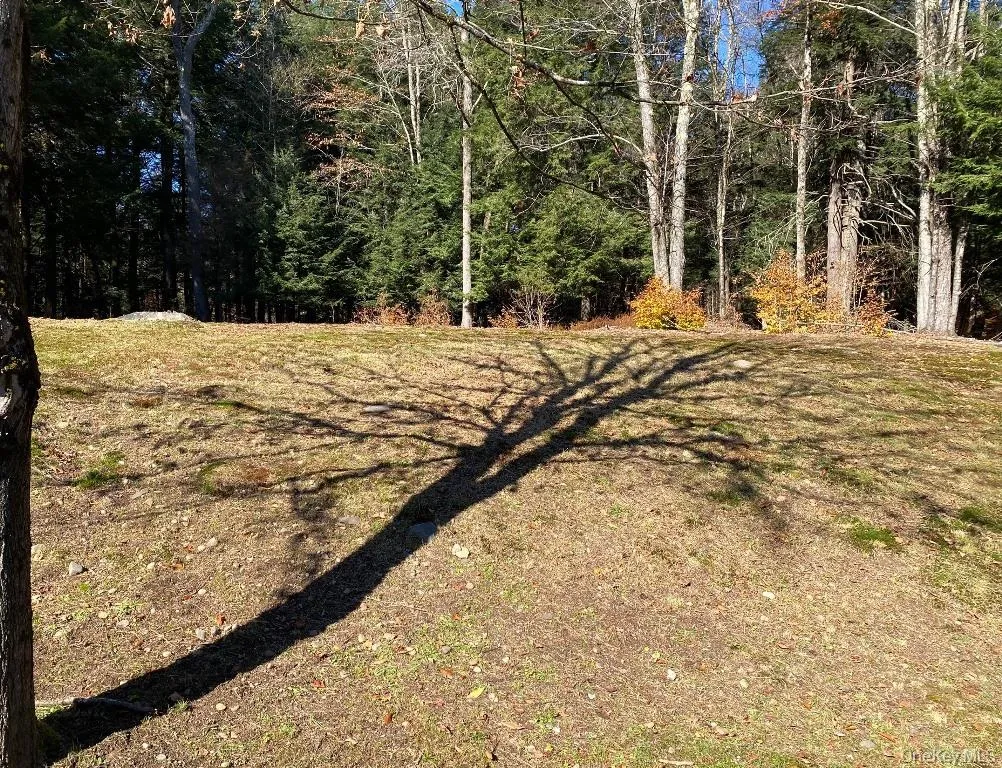 141 Gale Road, Bethel, NY, 2 Bedrooms Bedrooms, 4 Rooms Rooms,1 BathroomBathrooms,Residential Lease,For Rent,Gale,0,945625 141 Gale Road, Bethel, NY, 2 Bedrooms Bedrooms, 4 Rooms Rooms,1 BathroomBathrooms,Residential Lease,For Rent,Gale,0,945625