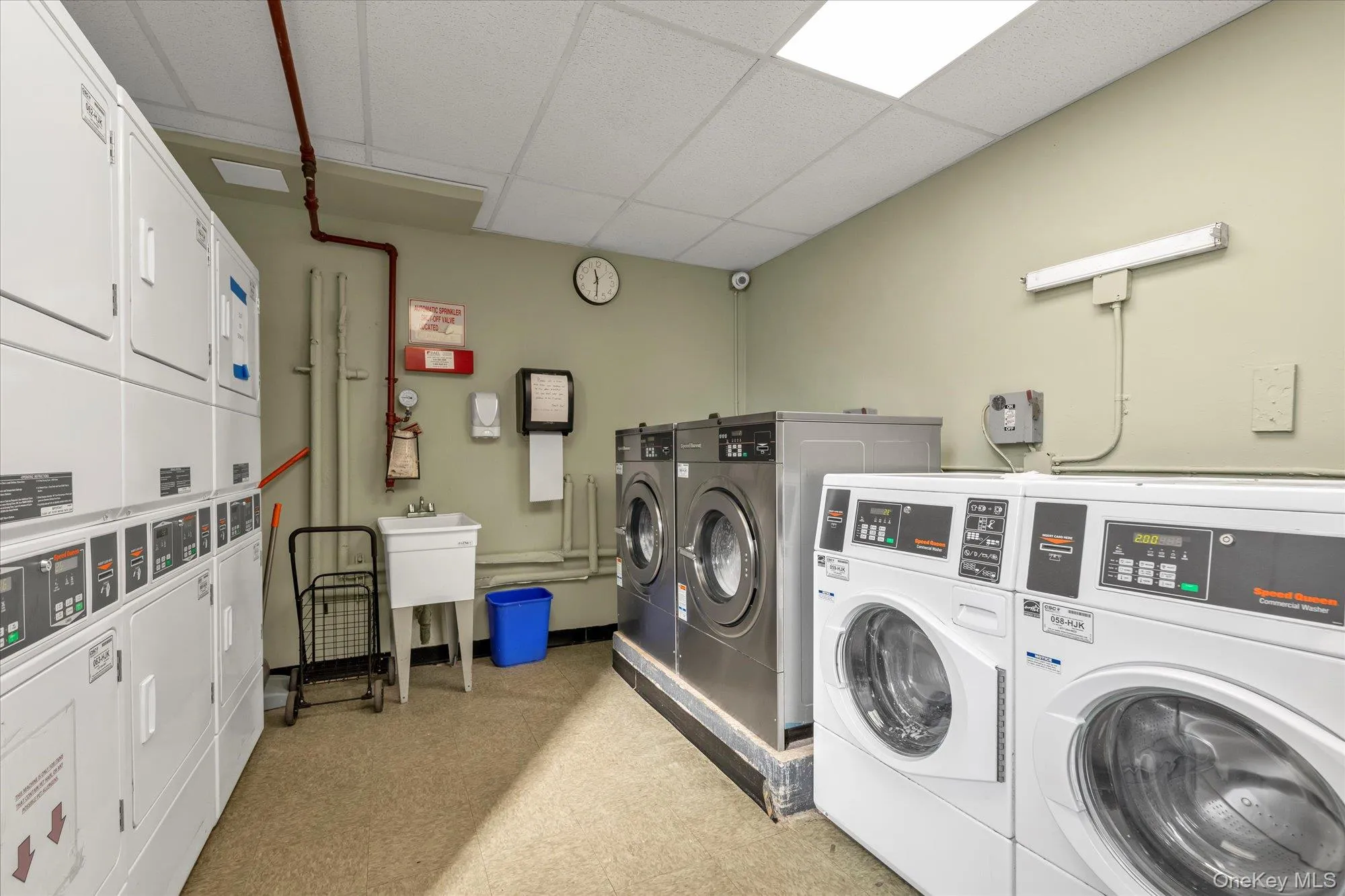 Laundry. Laundry.
