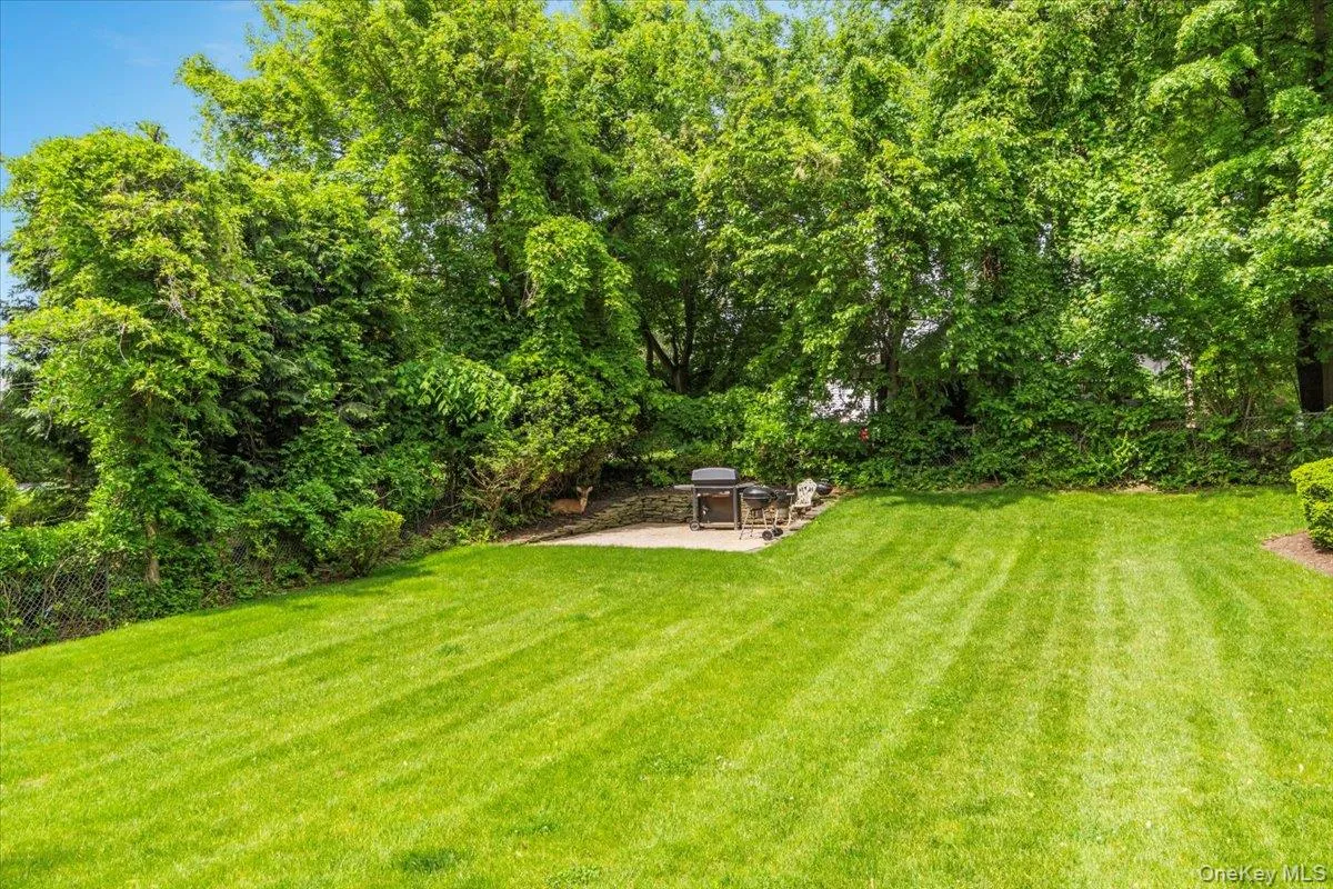 View of grassy yard featuring a patio View of grassy yard featuring a patio