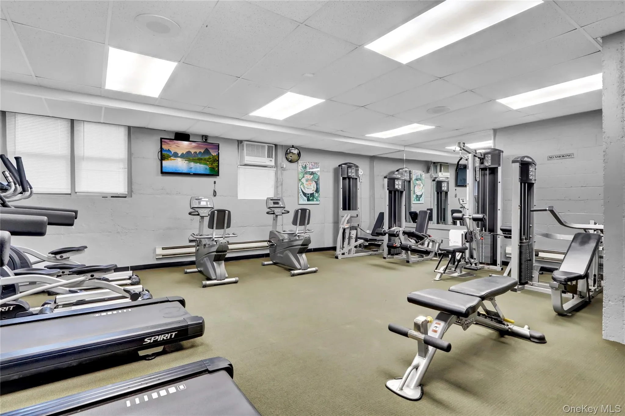 54-44 Little Neck Parkway Parkway, New York, NY, 1 Room Rooms,1 BathroomBathrooms,Residential Lease,For Rent,Little Neck Parkway,0,945711 54-44 Little Neck Parkway Parkway, New York, NY, 1 Room Rooms,1 BathroomBathrooms,Residential Lease,For Rent,Little Neck Parkway,0,945711