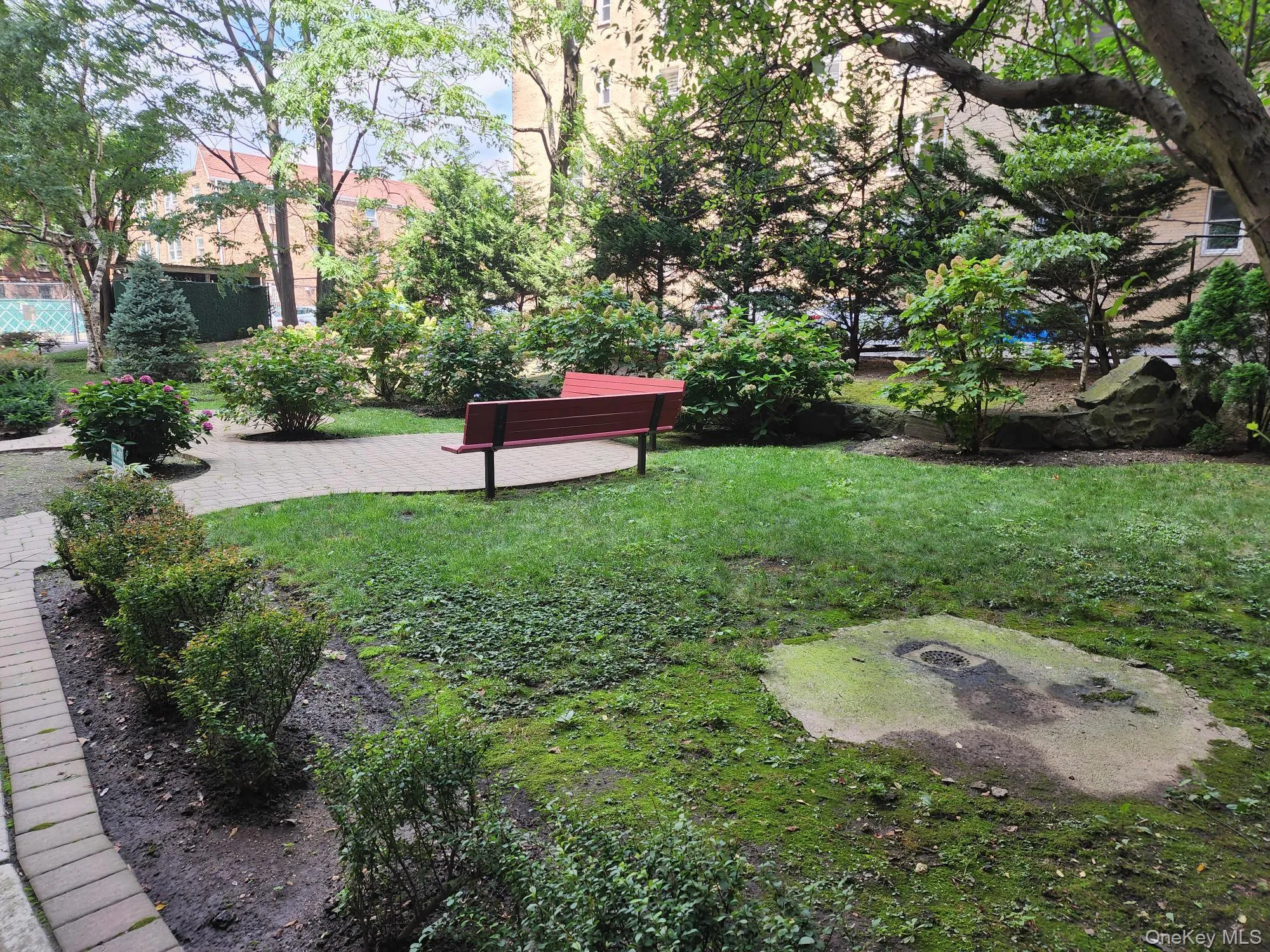 View of green lawn View of green lawn