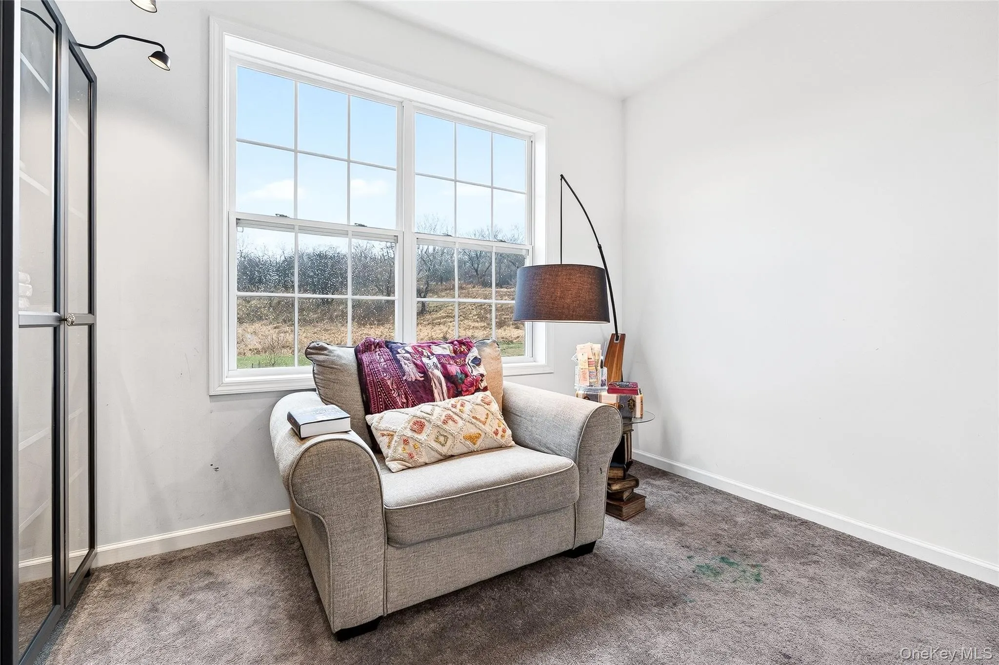 Sitting room featuring carpet floors Sitting room featuring carpet floors