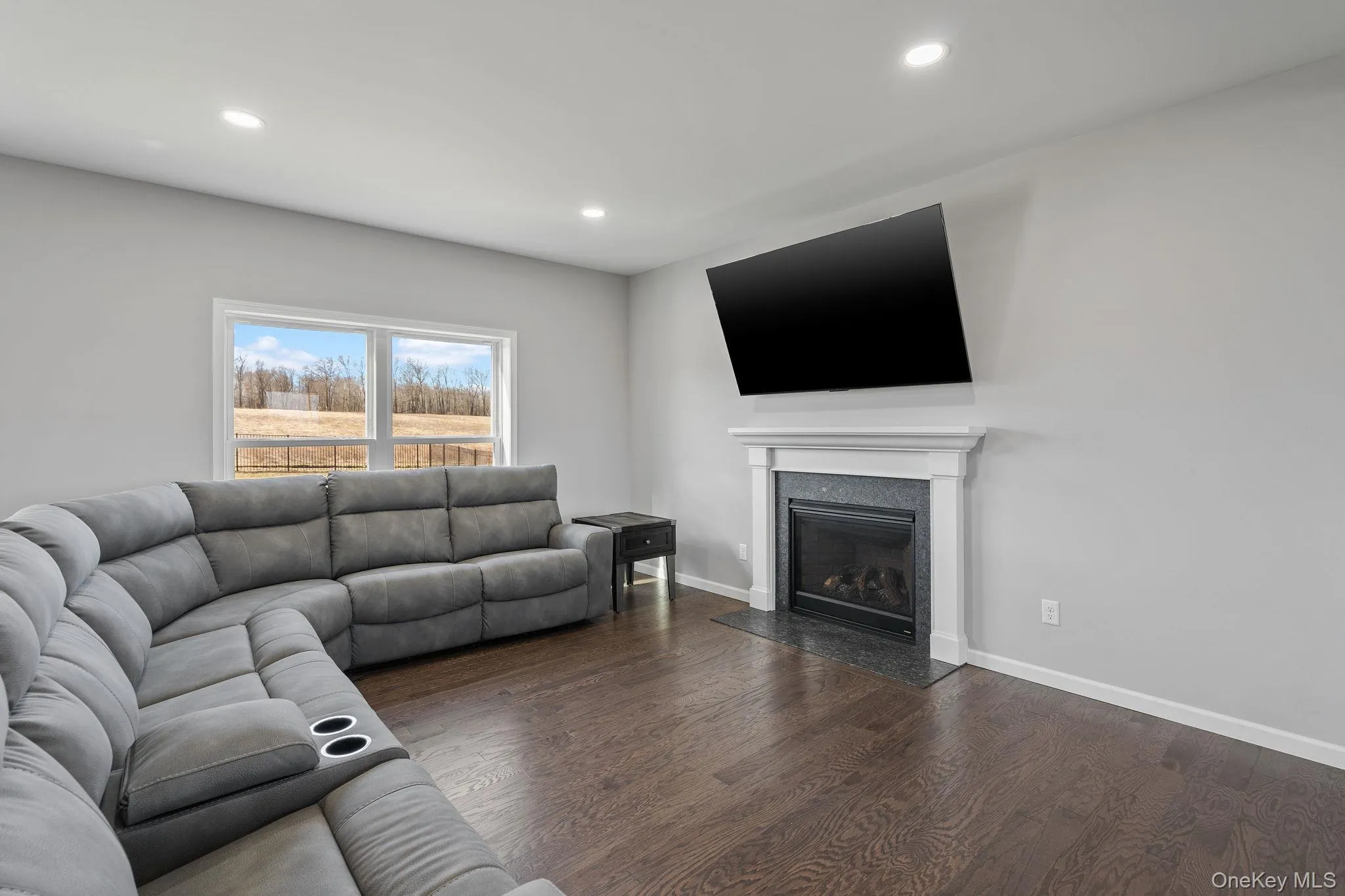Living area with a fireplace, dark wood-style flooring, and recessed lighting Living area with a fireplace, dark wood-style flooring, and recessed lighting