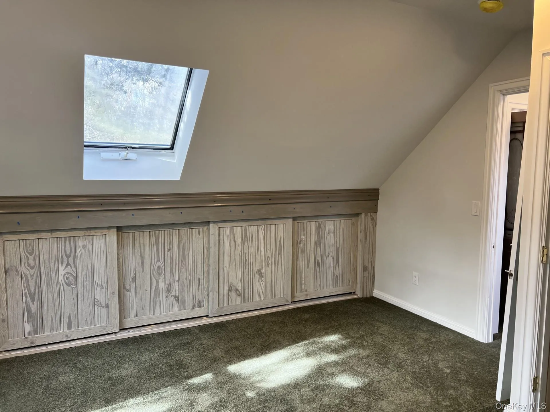 Bonus room featuring lofted ceiling, dark colored carpet, and a skylight Bonus room featuring lofted ceiling, dark colored carpet, and a skylight
