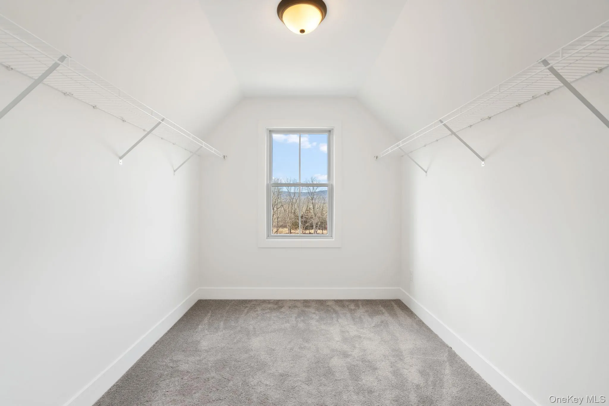 Spacious closet featuring light colored carpet and vaulted ceiling Spacious closet featuring light colored carpet and vaulted ceiling