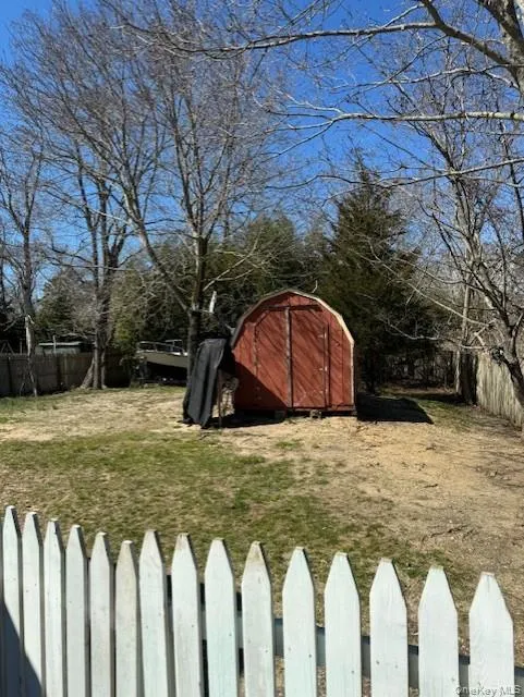 Backyard Backyard