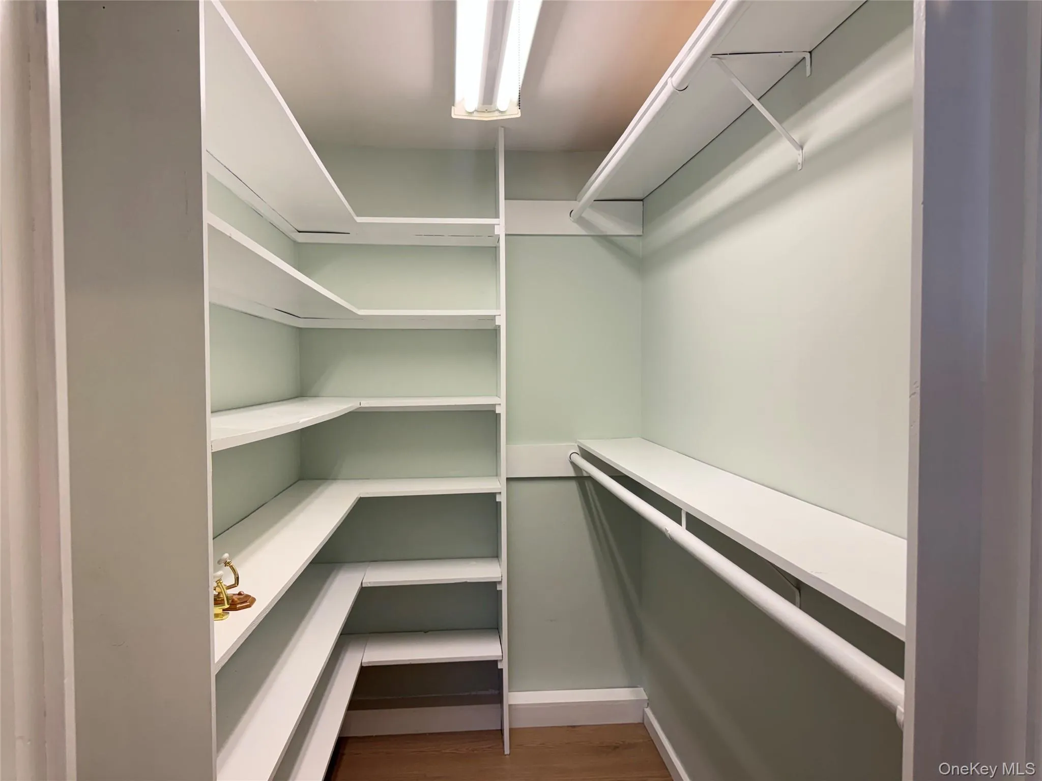 Spacious closet with dark wood finished floors Spacious closet with dark wood finished floors