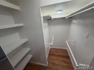 Spacious closet with dark wood-style floors Spacious closet with dark wood-style floors