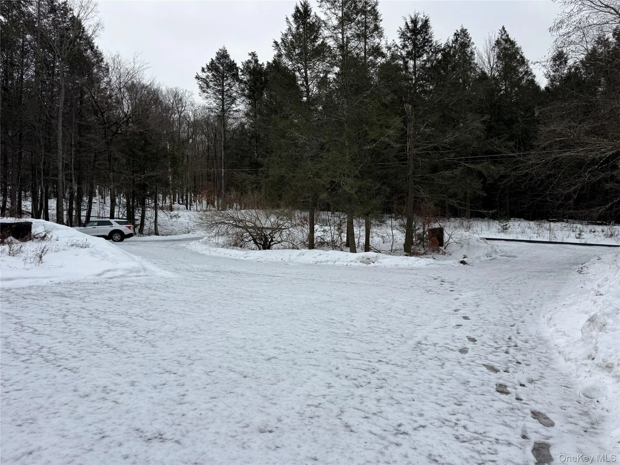 Yard covered in snow with a view of trees Yard covered in snow with a view of trees