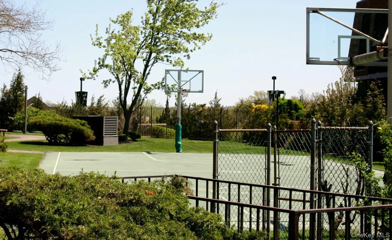 outdoor basketball court. outdoor basketball court.