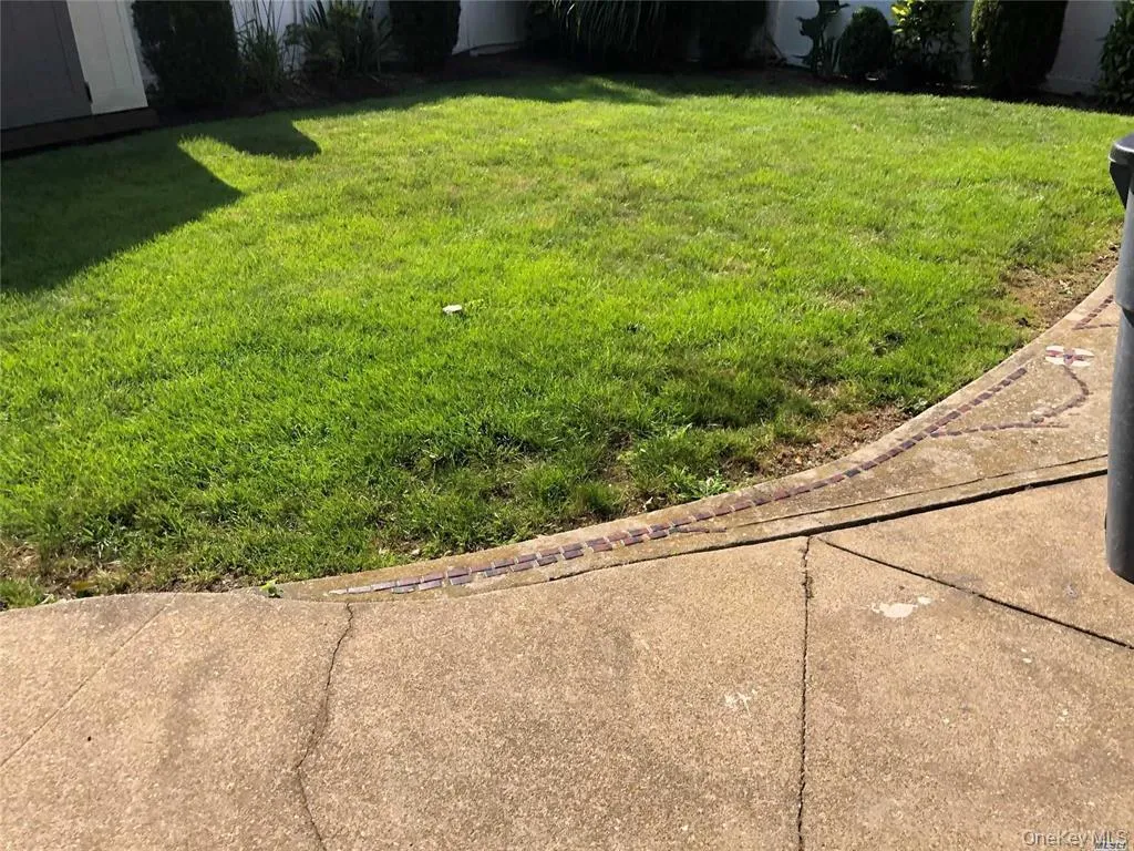 View of green lawn View of green lawn