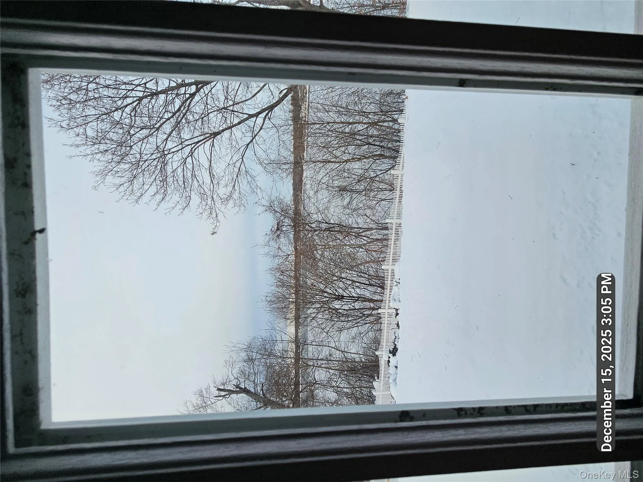 Bedroom View Bedroom View