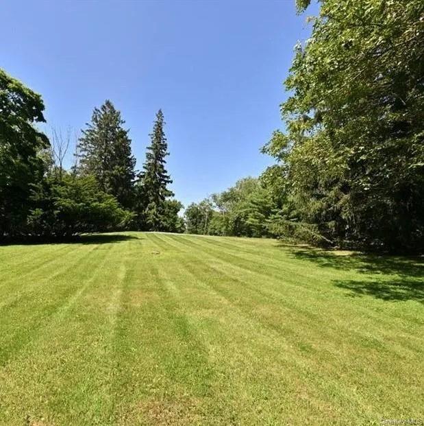View of green lawn featuring a forest view View of green lawn featuring a forest view