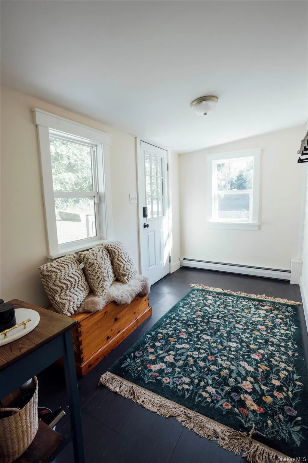 Foyer featuring healthy amount of natural light, a baseboard radiator, and wood finished floors Foyer featuring healthy amount of natural light, a baseboard radiator, and wood finished floors