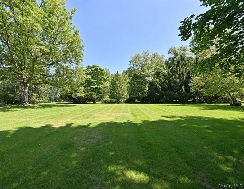 View of green lawn View of green lawn