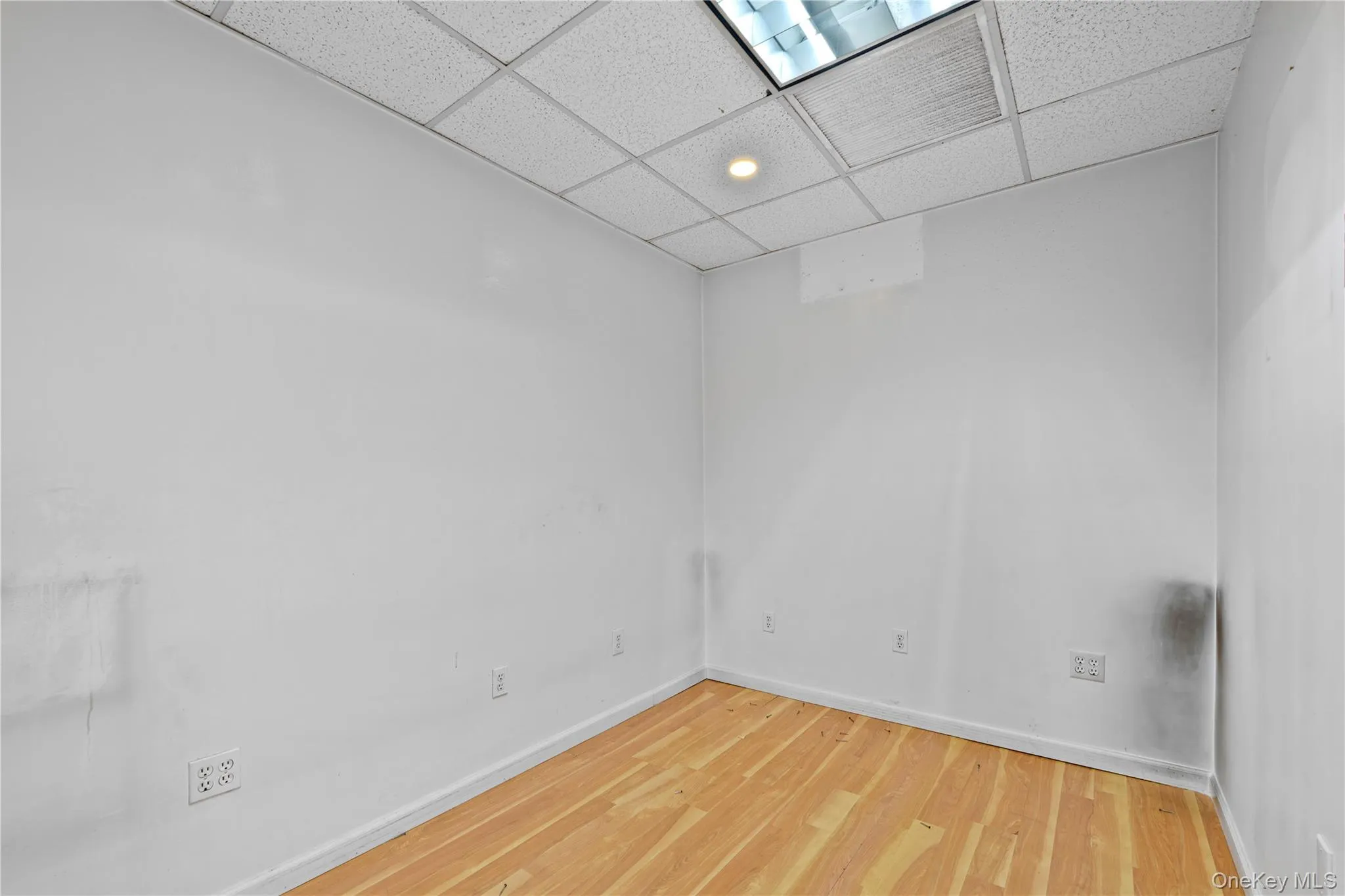 Spare room featuring a paneled ceiling, wood finished floors, and recessed lighting Spare room featuring a paneled ceiling, wood finished floors, and recessed lighting