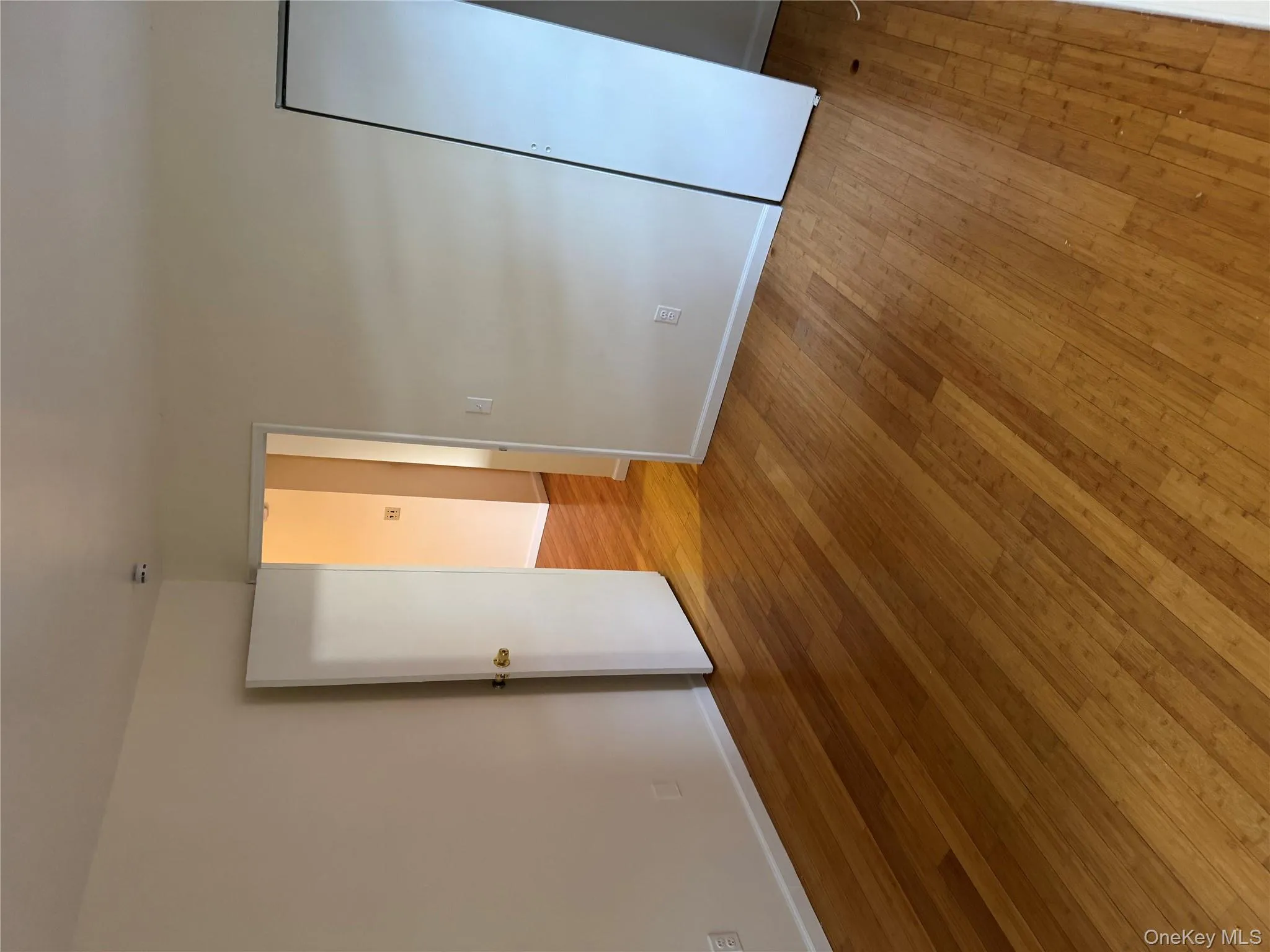 Unfurnished bedroom featuring light wood-style flooring and a closet Unfurnished bedroom featuring light wood-style flooring and a closet