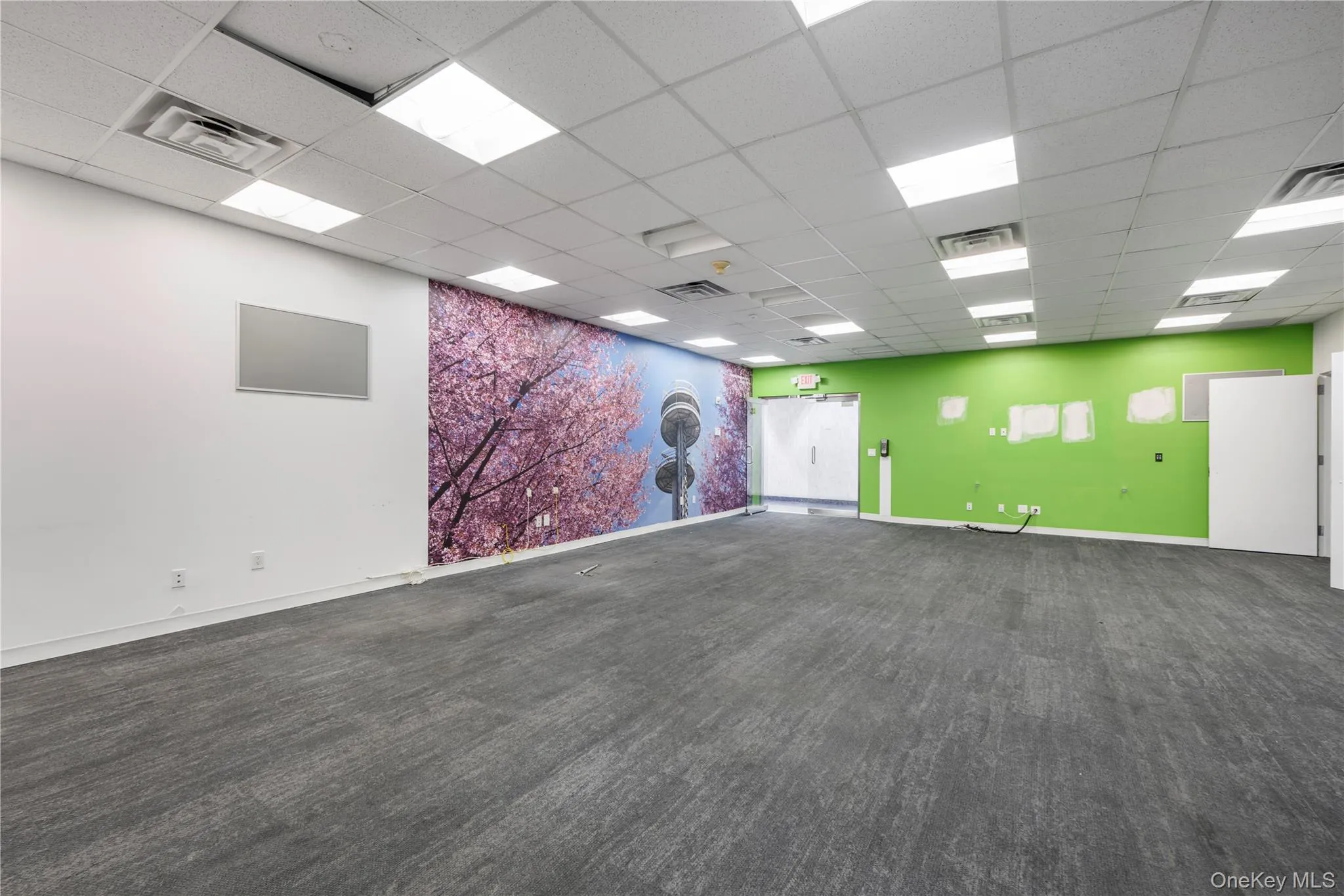 Unfurnished room featuring a drop ceiling, dark carpet, and an accent wall Unfurnished room featuring a drop ceiling, dark carpet, and an accent wall