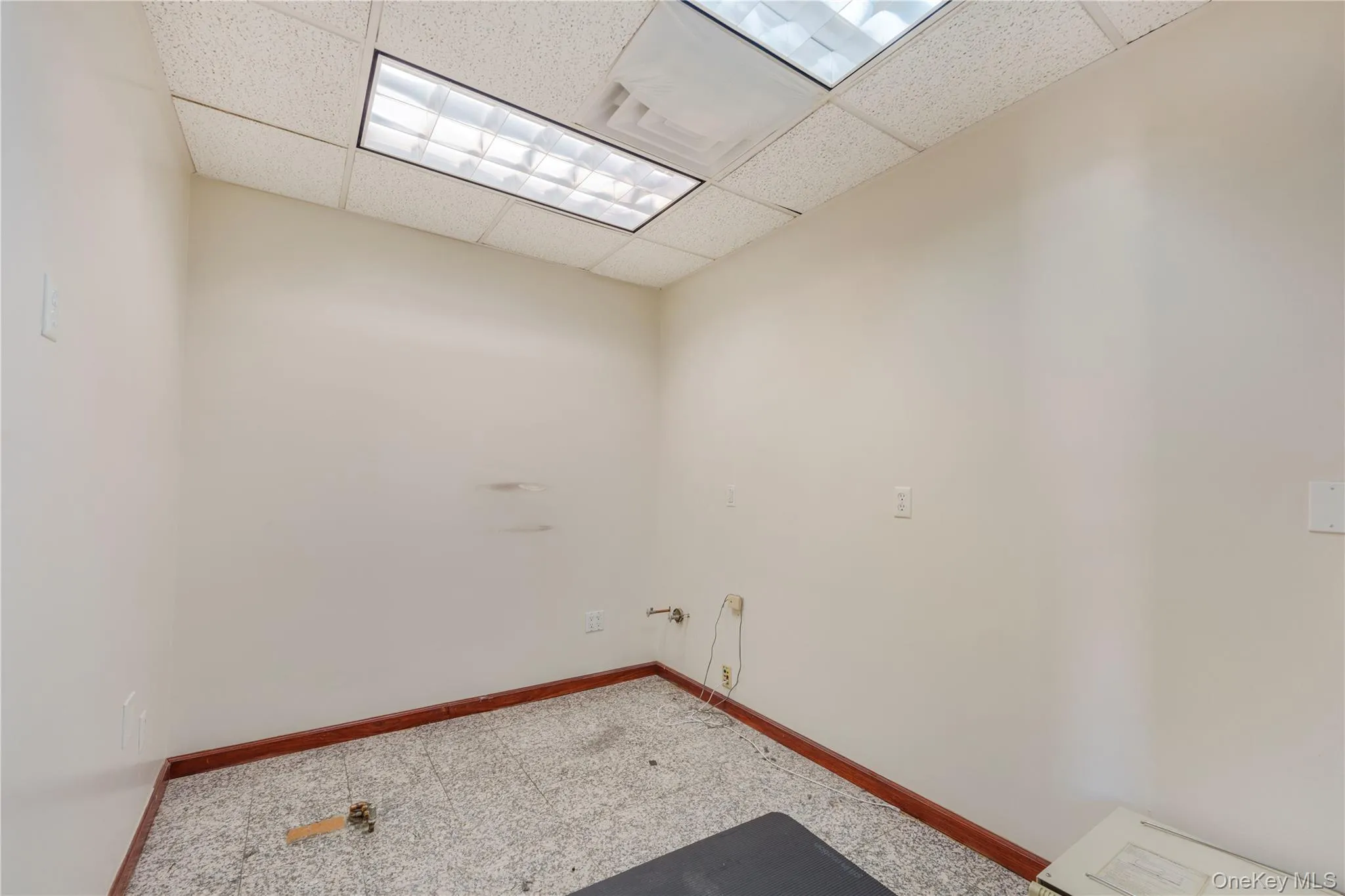 Laundry room featuring a drop ceiling and carpet flooring Laundry room featuring a drop ceiling and carpet flooring