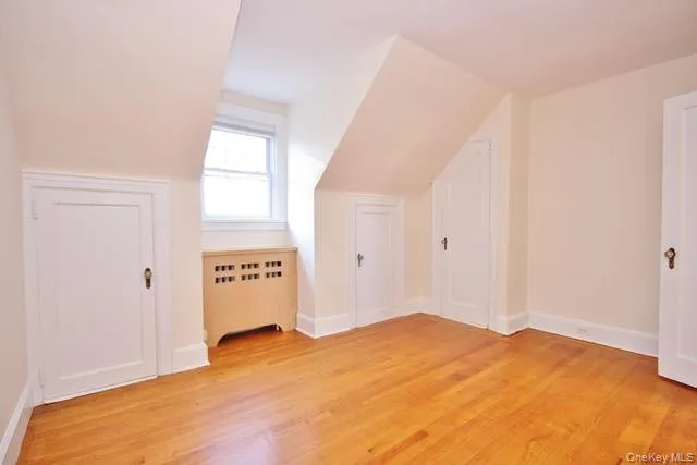 Bonus room featuring radiator and light wood-type flooring Bonus room featuring radiator and light wood-type flooring