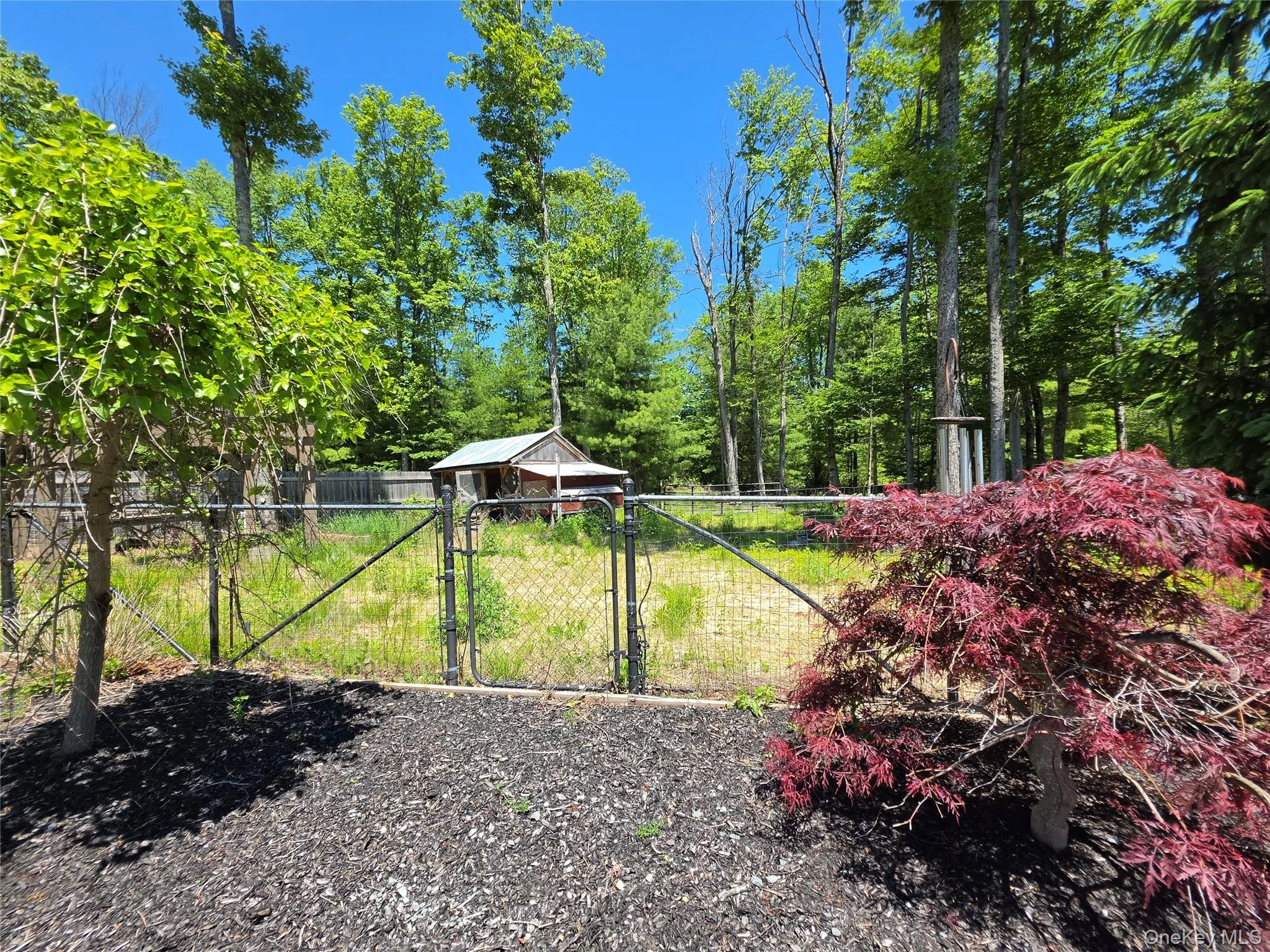 123 Wildwood Way, Forestburgh, NY, 5 Bedrooms Bedrooms, 10 Rooms Rooms,3 BathroomsBathrooms,Residential,For Rent,Wildwood,0,946432 123 Wildwood Way, Forestburgh, NY, 5 Bedrooms Bedrooms, 10 Rooms Rooms,3 BathroomsBathrooms,Residential,For Rent,Wildwood,0,946432