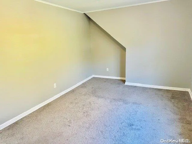 Empty room featuring crown molding and carpet floors Empty room featuring crown molding and carpet floors