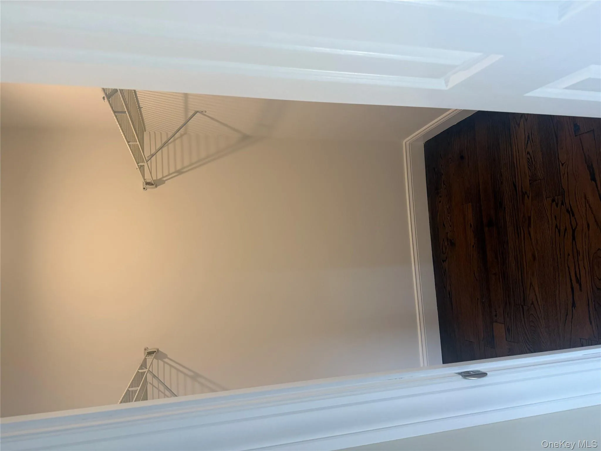 Spacious closet featuring dark wood-style flooring Spacious closet featuring dark wood-style flooring