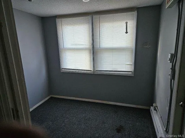Spare room with baseboard heating, a textured ceiling, and dark carpet Spare room with baseboard heating, a textured ceiling, and dark carpet