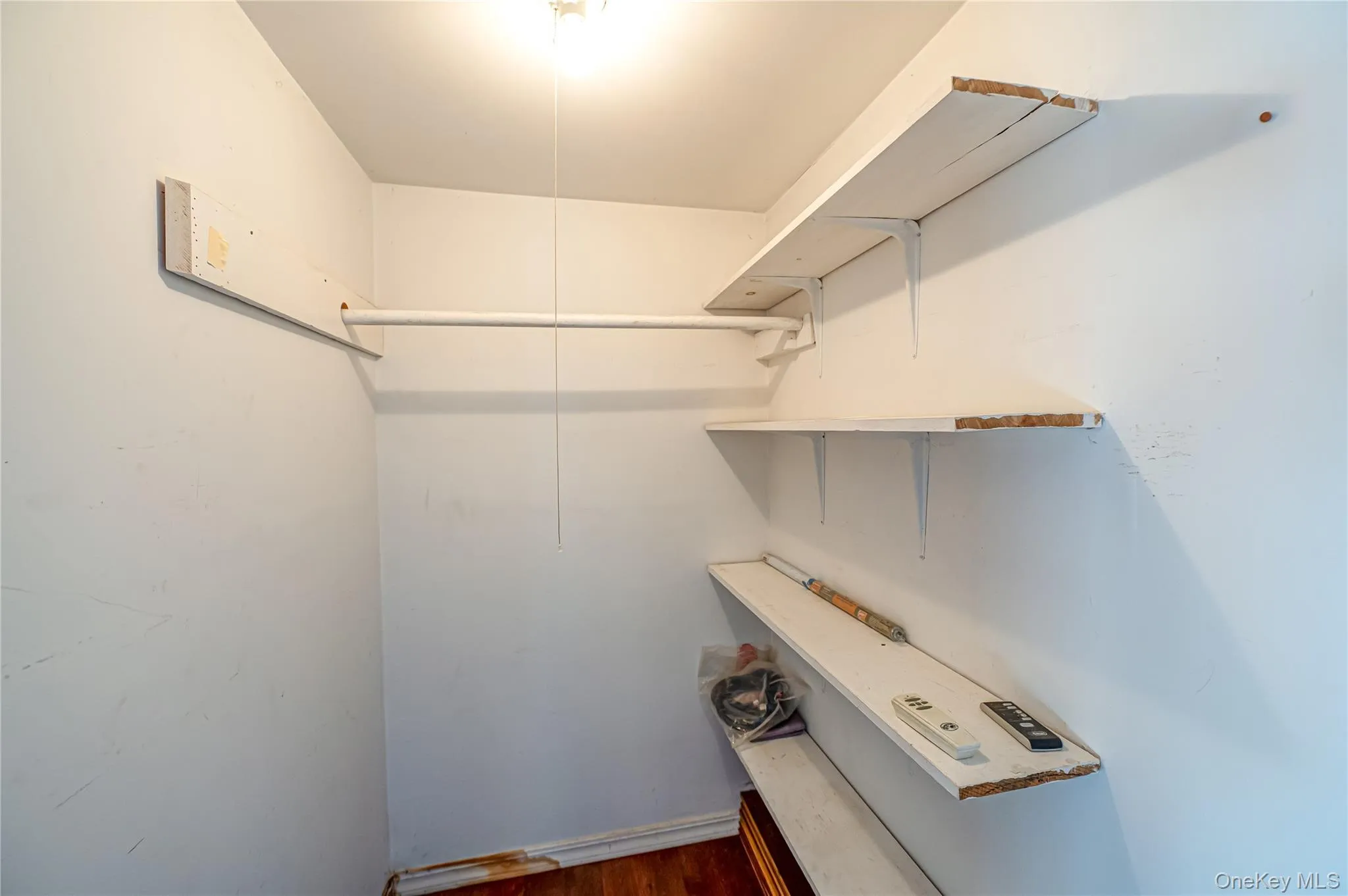Walk in closet with dark wood-type flooring Walk in closet with dark wood-type flooring