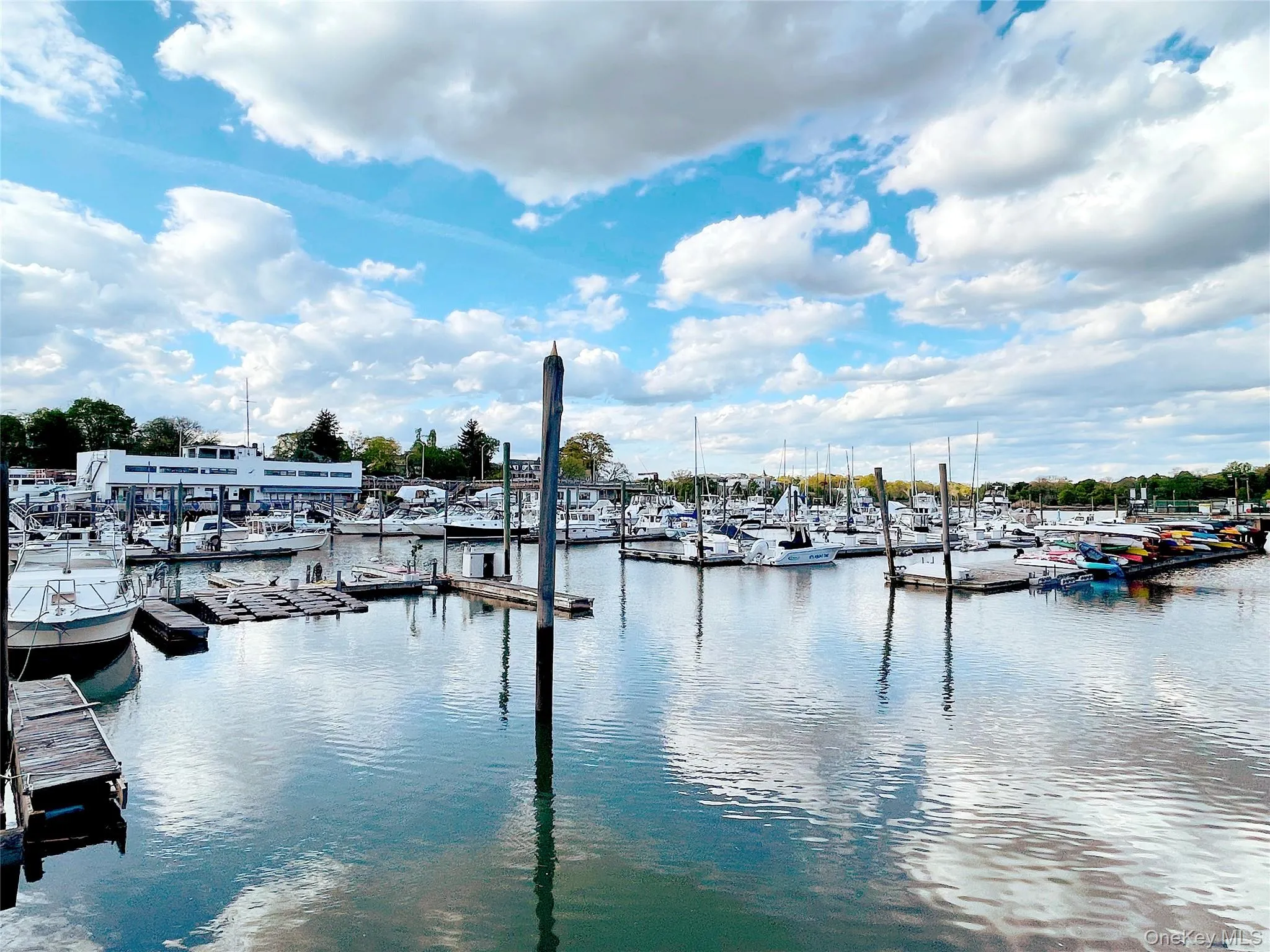 25 Acacia, New Rochelle, NY, 3 Bedrooms Bedrooms, 5 Rooms Rooms,2 BathroomsBathrooms,Residential Lease,Idx,Acacia,0,946665 25 Acacia, New Rochelle, NY, 3 Bedrooms Bedrooms, 5 Rooms Rooms,2 BathroomsBathrooms,Residential Lease,Idx,Acacia,0,946665