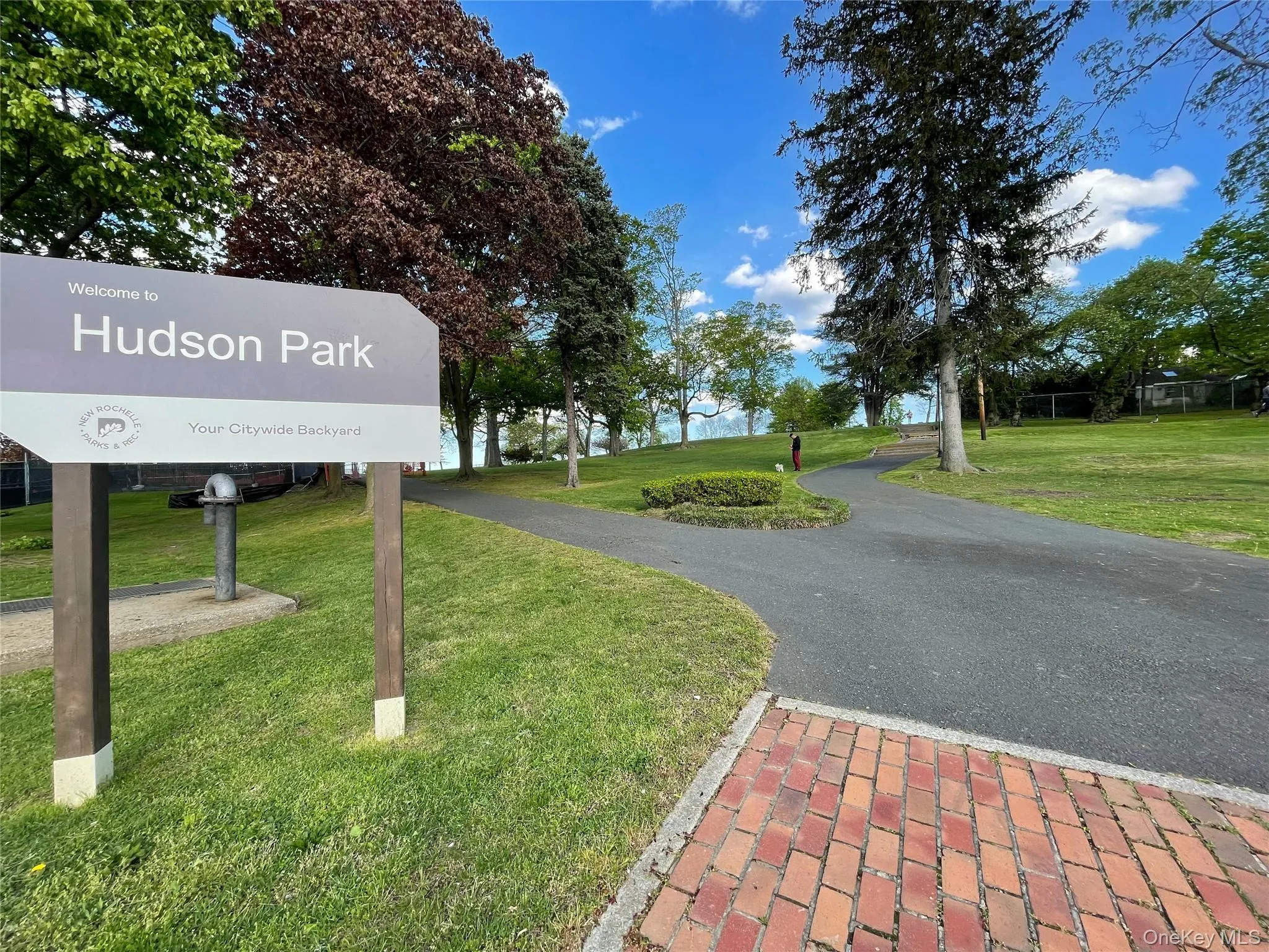 25 Acacia, New Rochelle, NY, 3 Bedrooms Bedrooms, 5 Rooms Rooms,2 BathroomsBathrooms,Residential Lease,Idx,Acacia,0,946665 25 Acacia, New Rochelle, NY, 3 Bedrooms Bedrooms, 5 Rooms Rooms,2 BathroomsBathrooms,Residential Lease,Idx,Acacia,0,946665