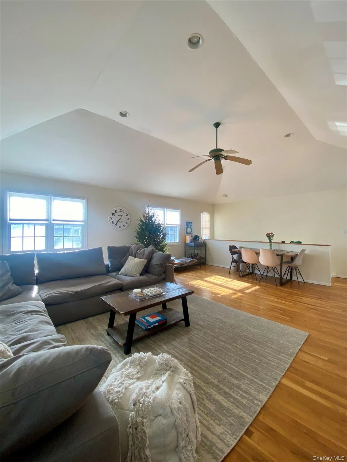 Sprawling sunny vaulted living room Sprawling sunny vaulted living room