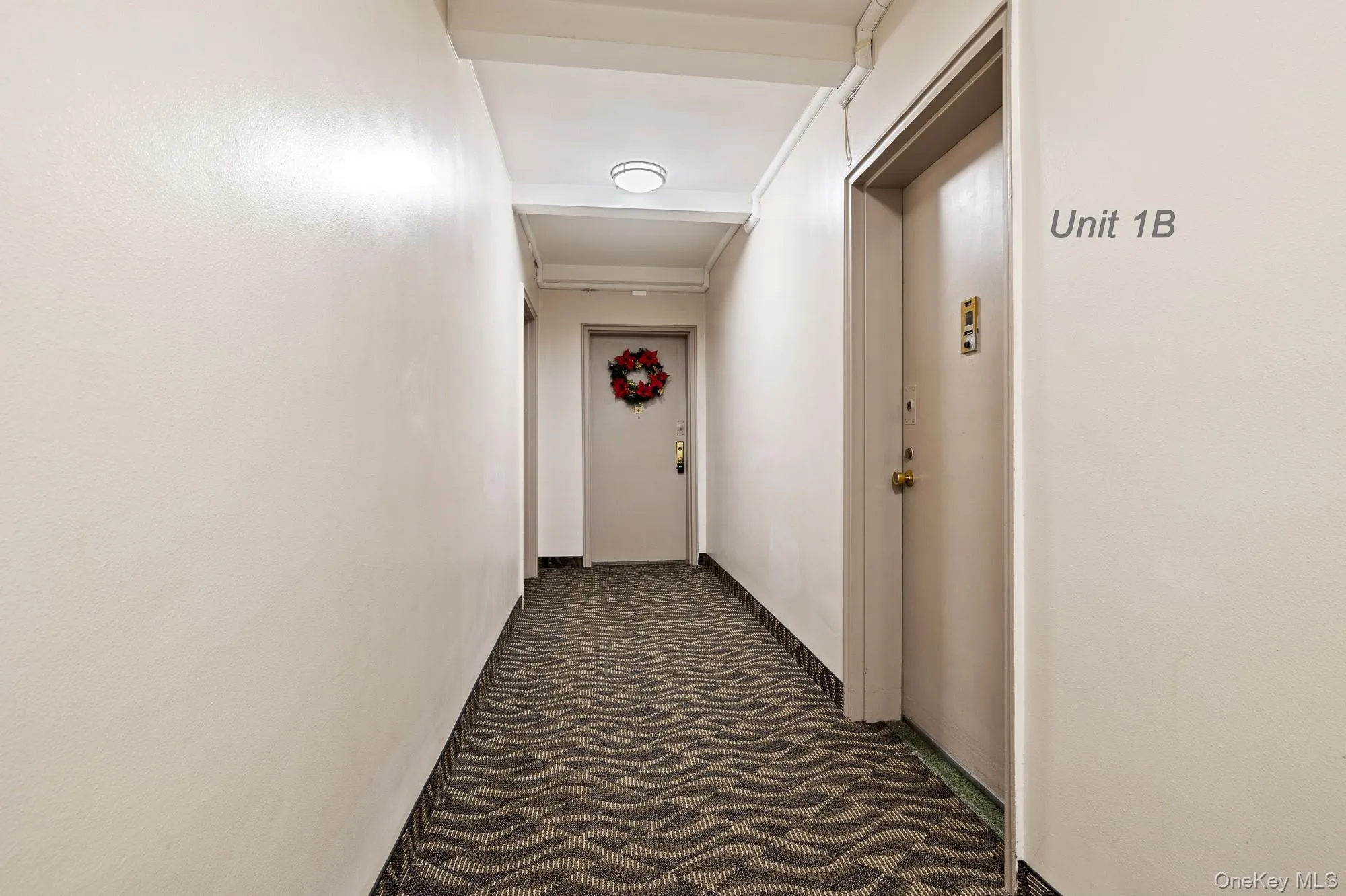Hallway to apartment Hallway to apartment