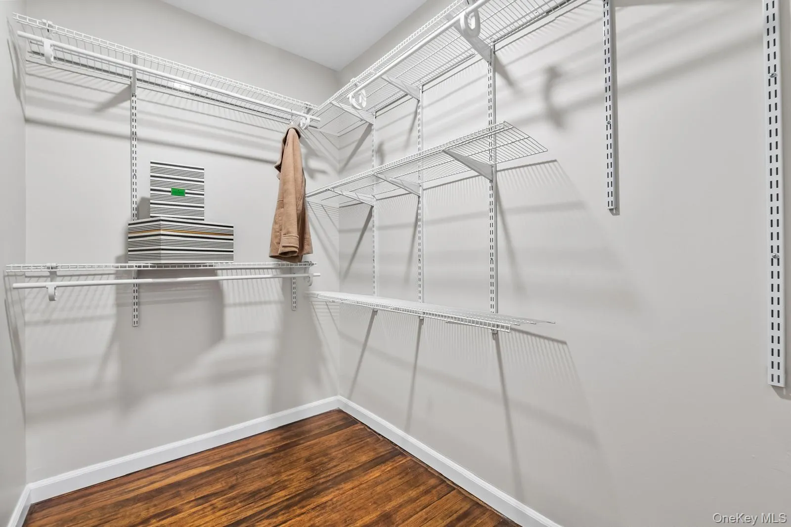 Spacious closet with dark wood-style floors Spacious closet with dark wood-style floors