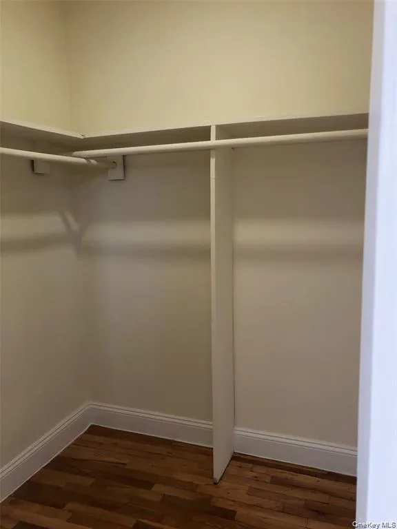 Spacious closet featuring dark wood finished floors Spacious closet featuring dark wood finished floors