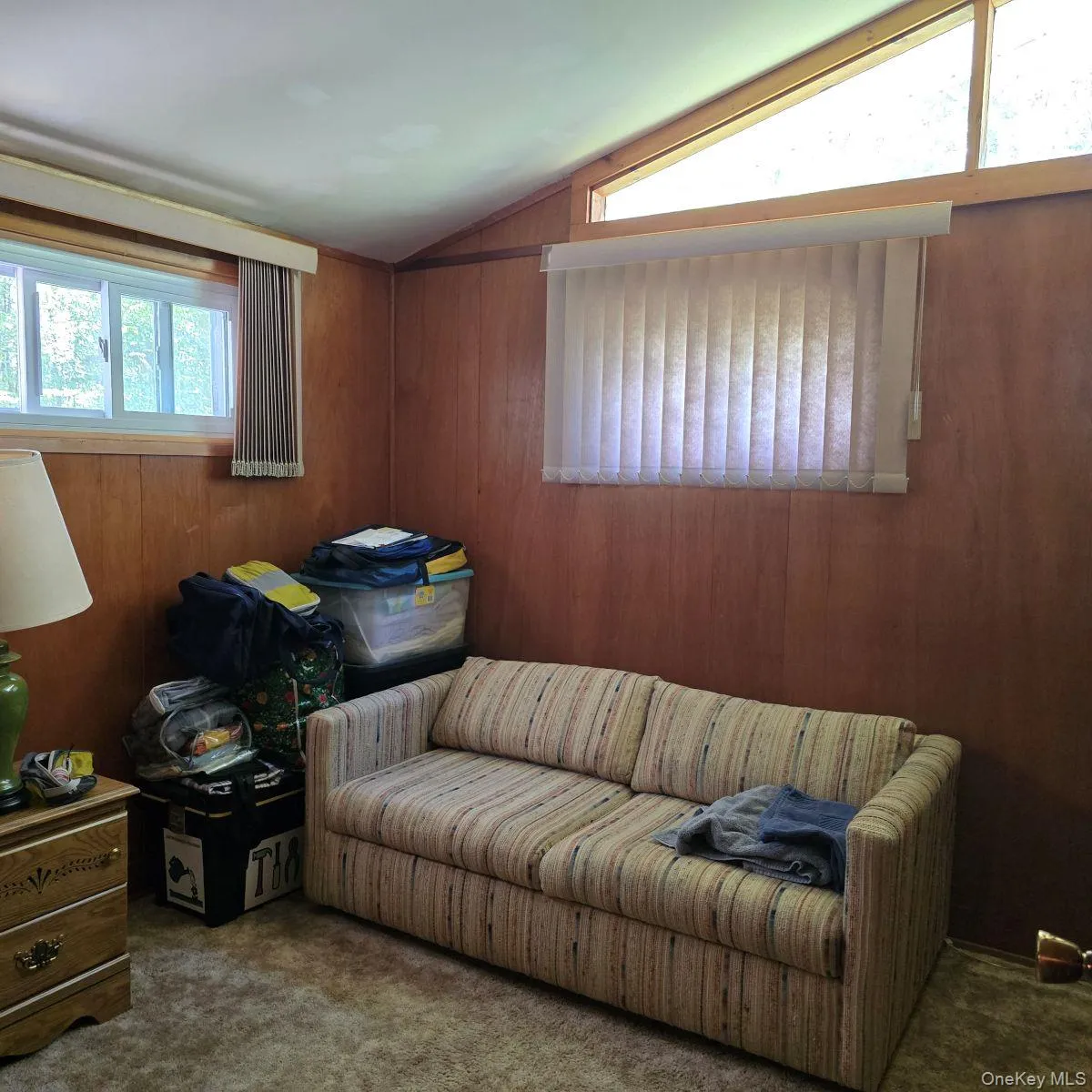 Carpeted living area with wooden walls, healthy amount of natural light, and vaulted ceiling Carpeted living area with wooden walls, healthy amount of natural light, and vaulted ceiling