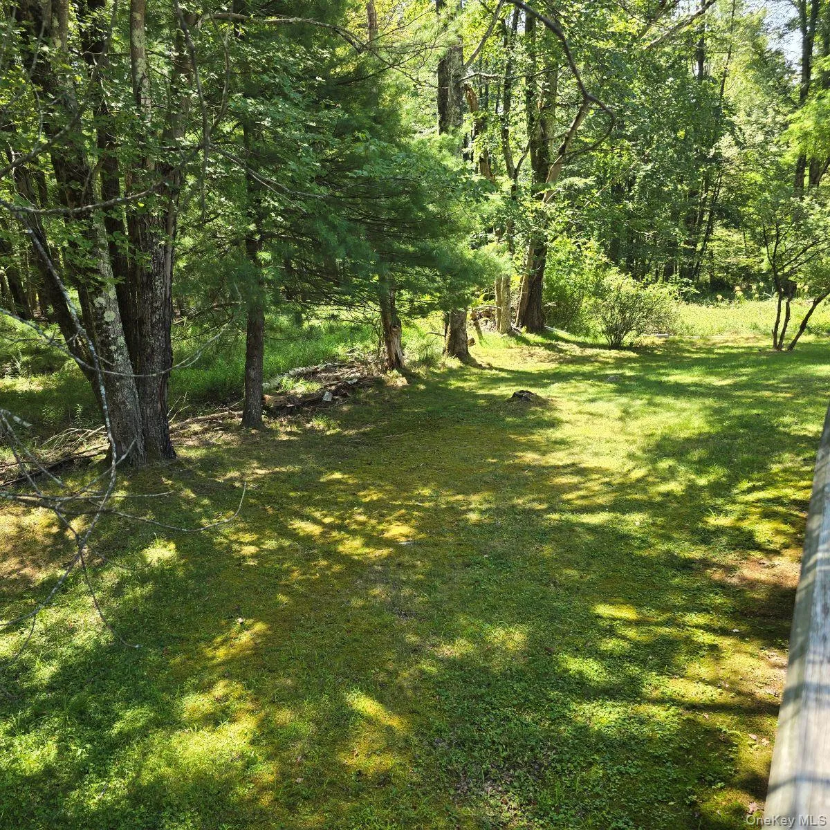 View of green lawn View of green lawn