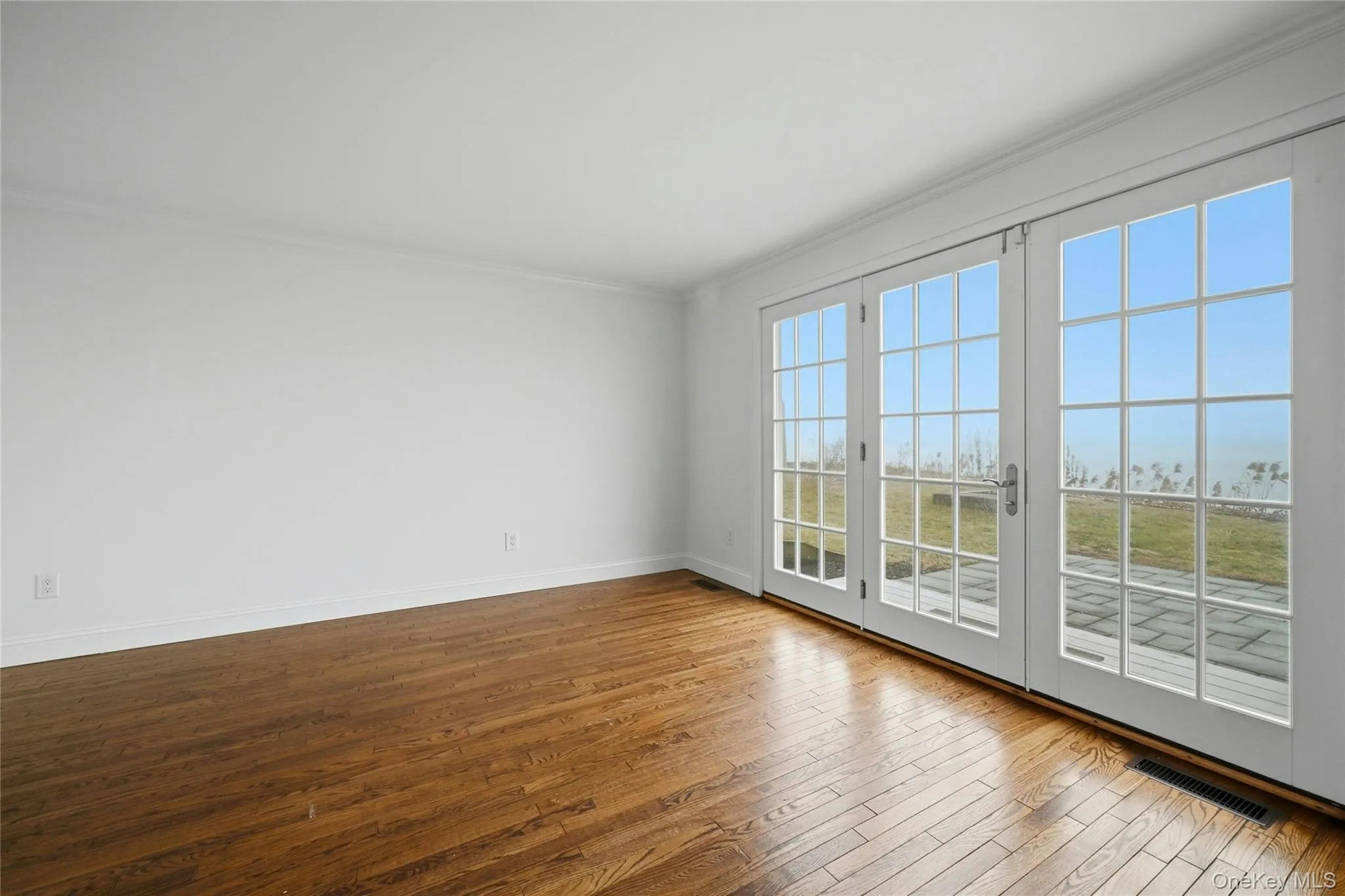 Unfurnished room featuring dark wood-type flooring and crown molding Unfurnished room featuring dark wood-type flooring and crown molding