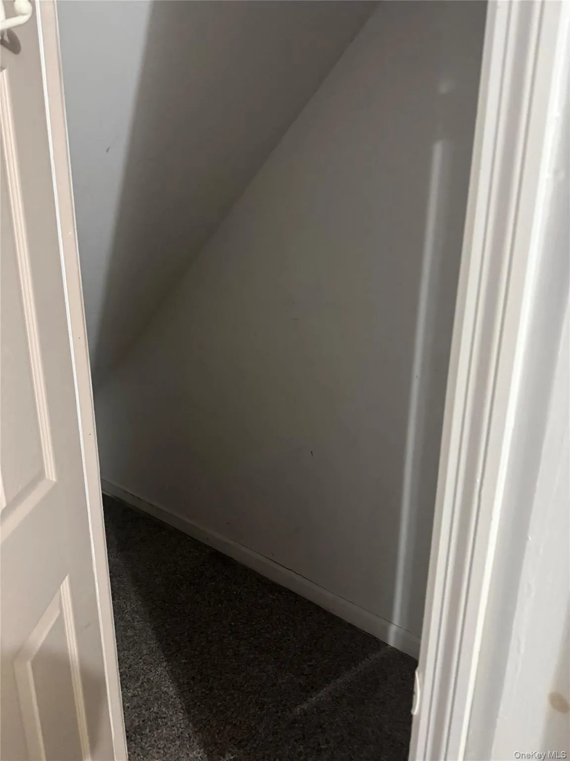 Additional living space with lofted ceiling and dark colored carpet Additional living space with lofted ceiling and dark colored carpet